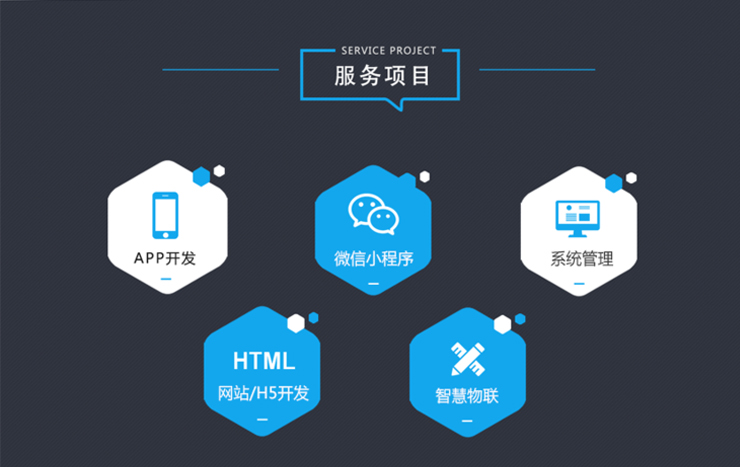 APP订制化开发