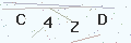 验证码